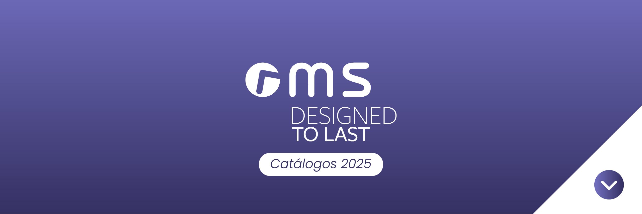 MS Design